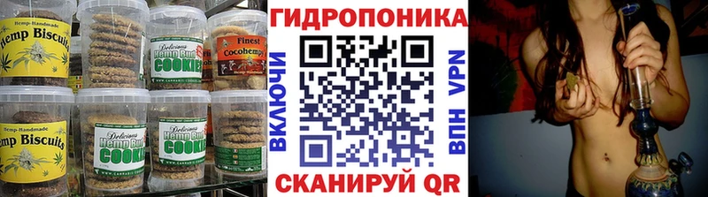 ОМГ ОМГ онион  Раменское  Canna-Cookies марихуана 