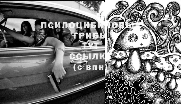 марки nbome Алзамай