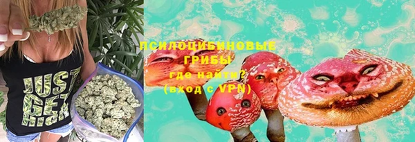 молекула духа Алексин