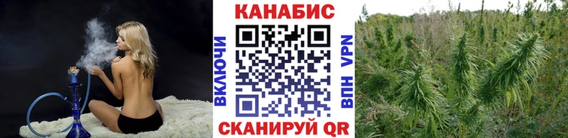 Конопля тримм  мориарти Telegram  Раменское  купить наркоту 